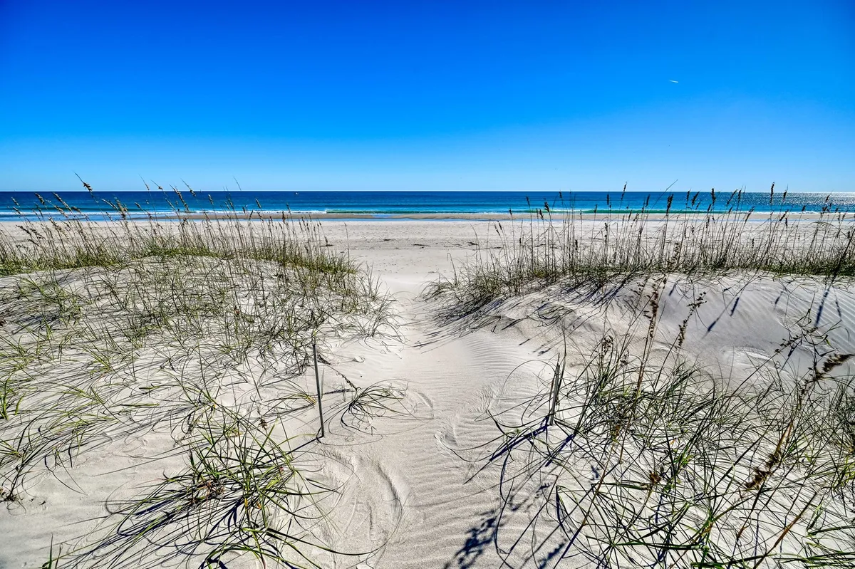 A serene view of Surf City Beach, with sandy shores, dune grass, and gentle ocean waves. The open landscape invites guests and their dogs to enjoy long walks, playtime, and beach exploration in a picturesque, pet-welcoming setting.